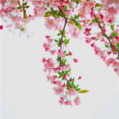 乐动体育app官网入口